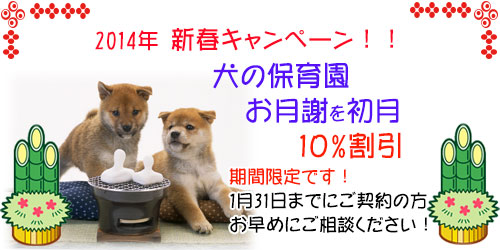 犬の保育園入園キャンペーン