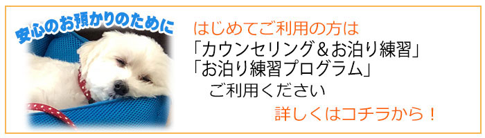 ペットホテルお泊り練習 はじめてご利用の方へ