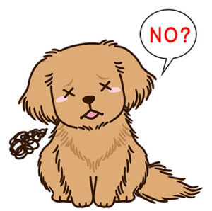 犬にNO 犬は理解できない