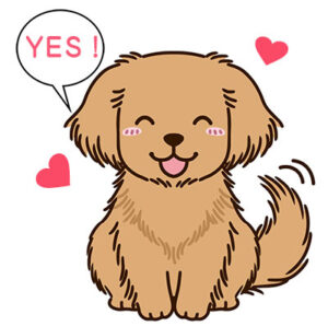 犬にYES ドッグトレーニング