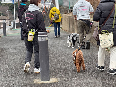 犬とお散歩イベント